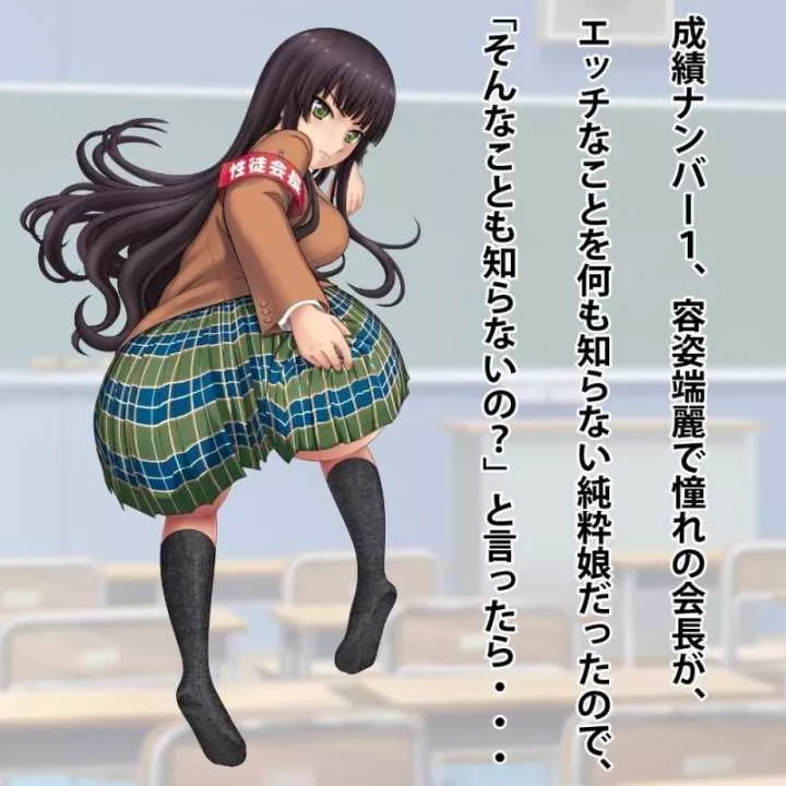 Onahole - Student Council President | Hitomi Goods