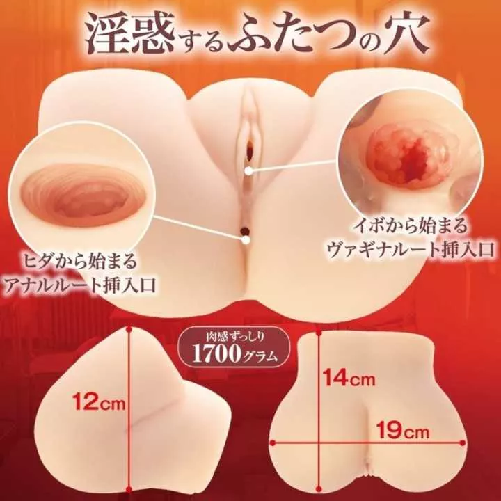 Onahole - Inwaku Suggestion Ano Nitsu No Omoidega Yomigaeru