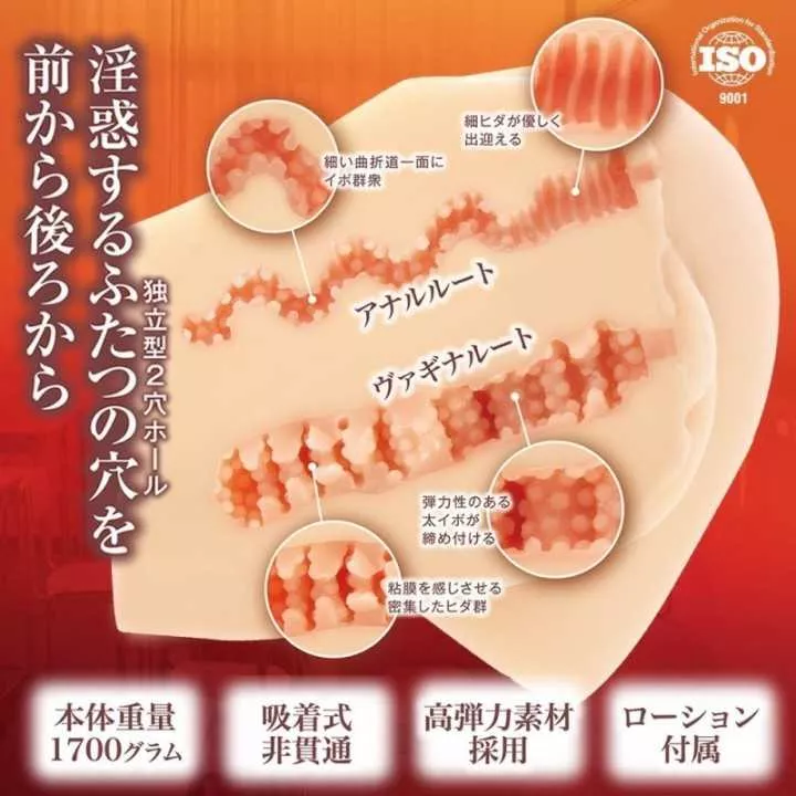 Onahole - Inwaku Suggestion Ano Nitsu No Omoidega Yomigaeru