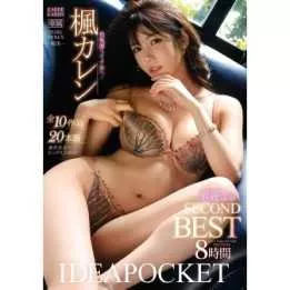 DVD Japanese Adult Video - Karen Kaede BEST 8 hours / 2DVD