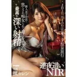 DVD Japanese Adult Video - Karen Kaede Invited by a new female employee ...